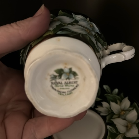 Royal Albert provincial flowers Trillium teacup and saucer - Picture 2 of 5